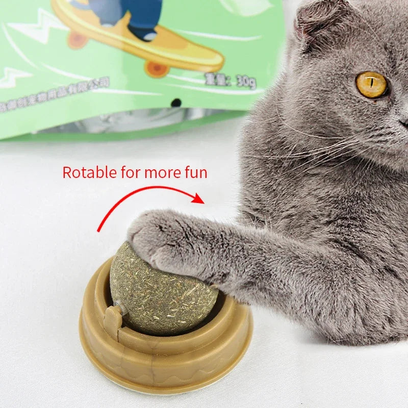 Selbstklebende Katzenminze-Bälle für Kratzbaum