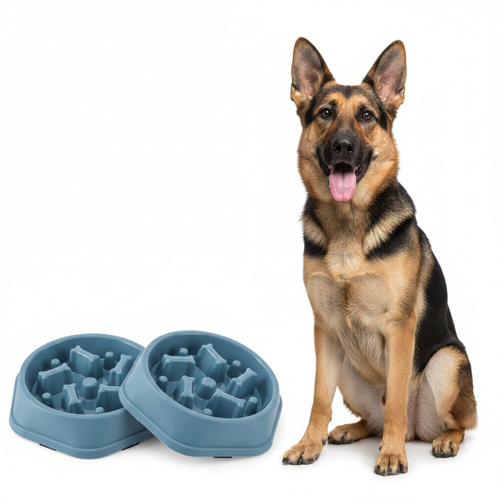Comedero Antiahogo para Perros Pequeños y Medianos