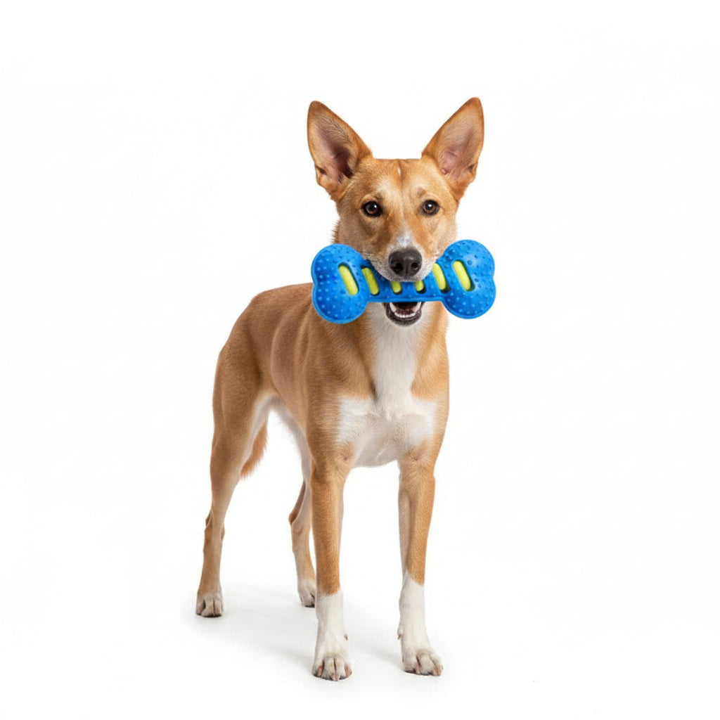 Pet Dog Chew Toys Rubber Bone Toy Bite Resistant Puppy Interactive Stick Puppy Chewing Toy Squeaky Interactive Dog Toys