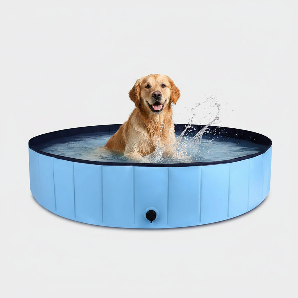 Bañera Plegable para Perros de Colores