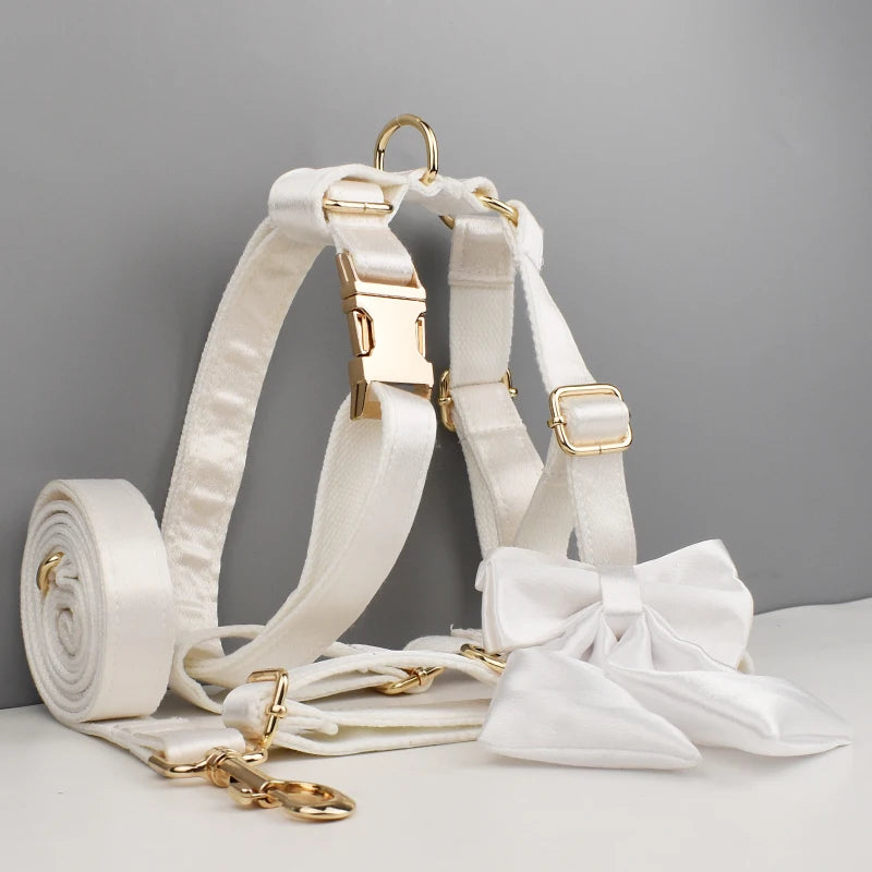 Set de Collar, Arnés, Correa y Lazo Personalizable Estampado