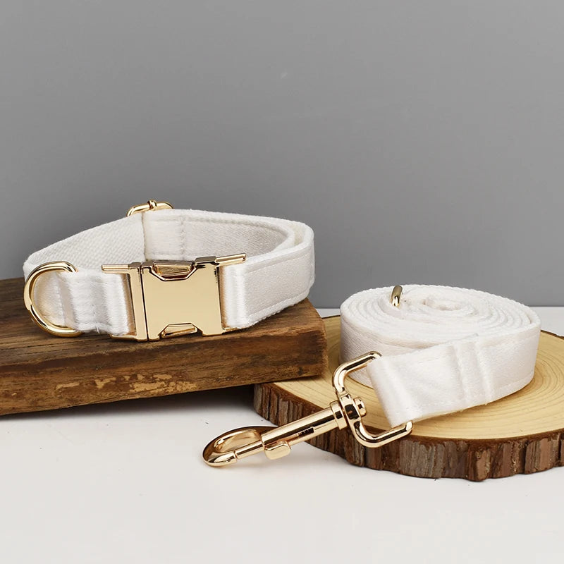 Set de Collar, Arnés, Correa y Lazo Personalizable Estampado