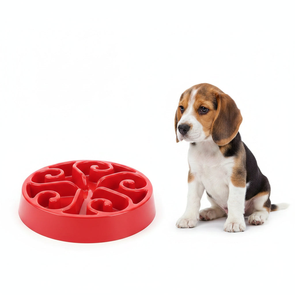 Comedero Antivoraz para Perros Grandes, Medianos y Pequeños