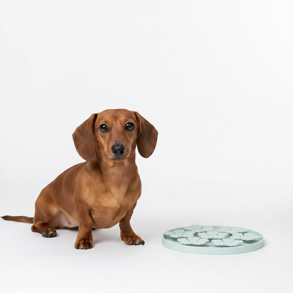 Alfombra de Silicona Lamedora para Perros