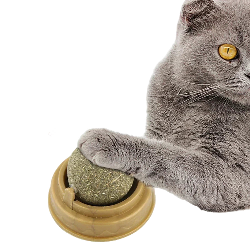 Juguete Estimulante con Catnip para Gatos - Plástico de Alta Calidad