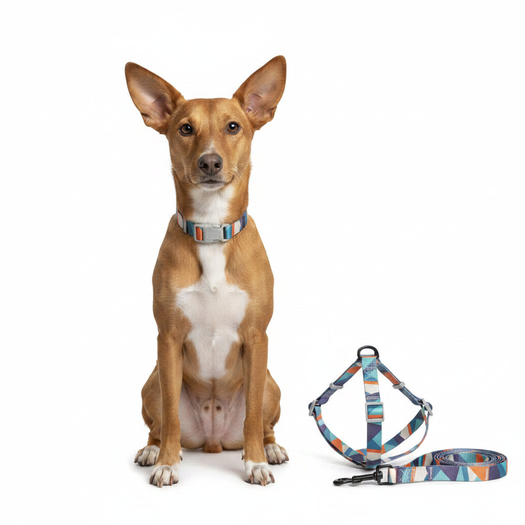 Triangle Print Dog Harness & Collar Set