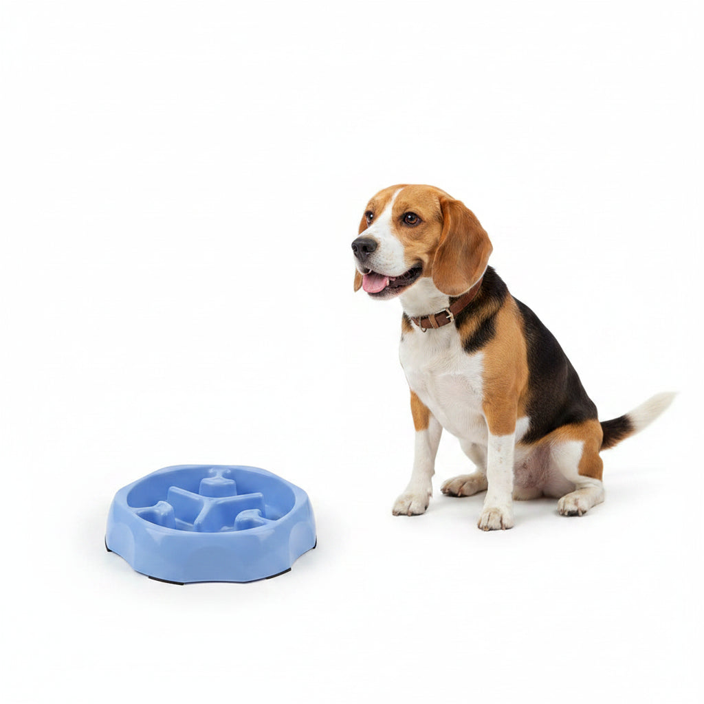 Comedero Antiahogo de Colores para Perros y Gatos