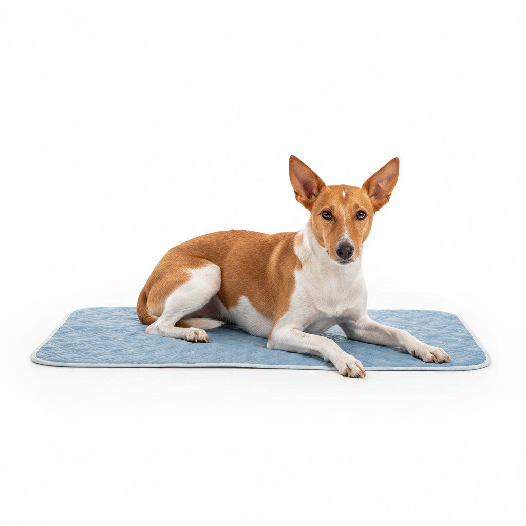 Set de 2 Alfombrillas Refrescantes para Perros