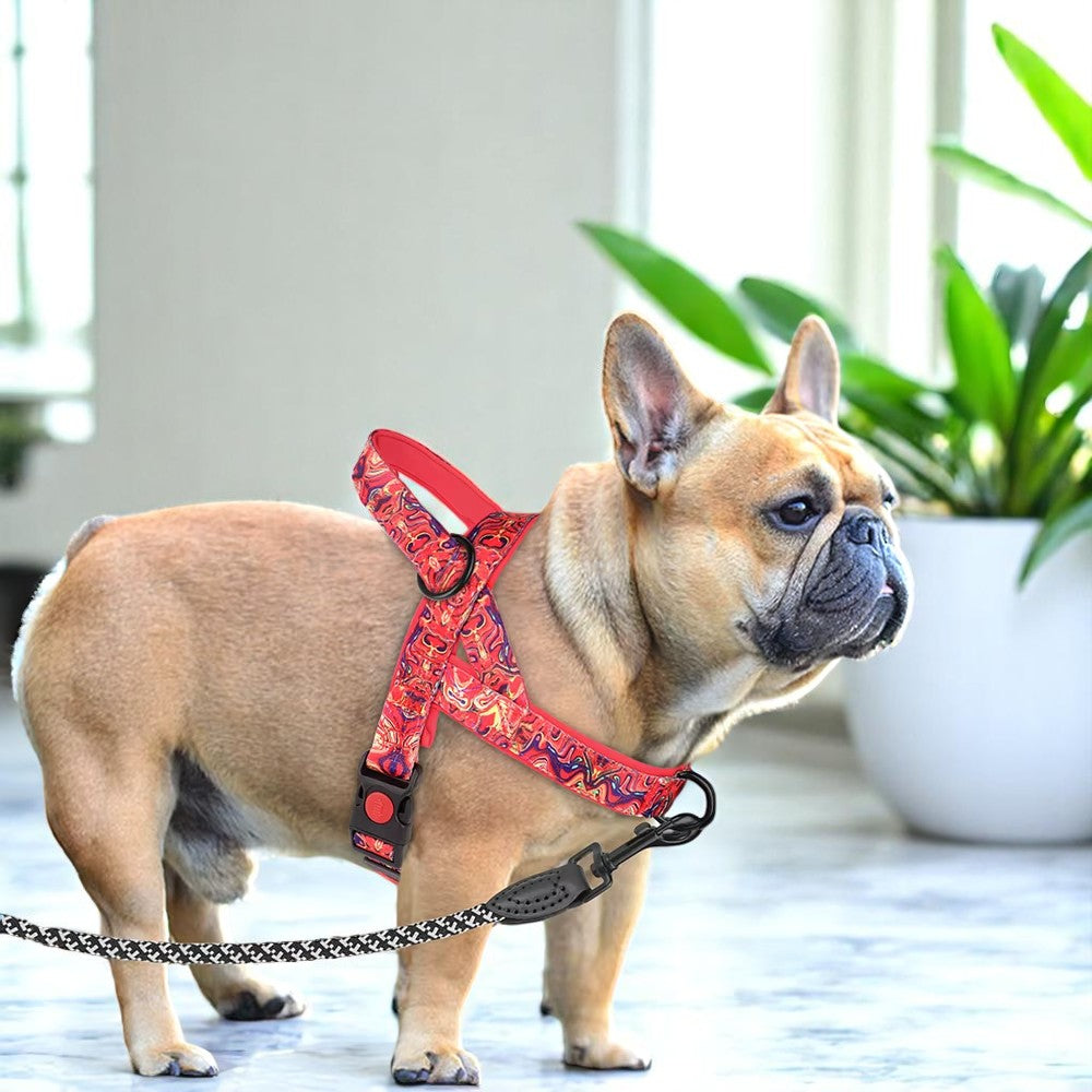 Arnés Antitirones Rojo y Azul para Perros
