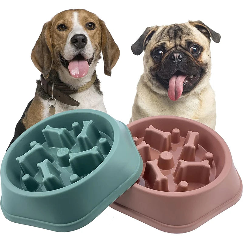 Comedero Antiahogo para Perros Pequeños y Medianos
