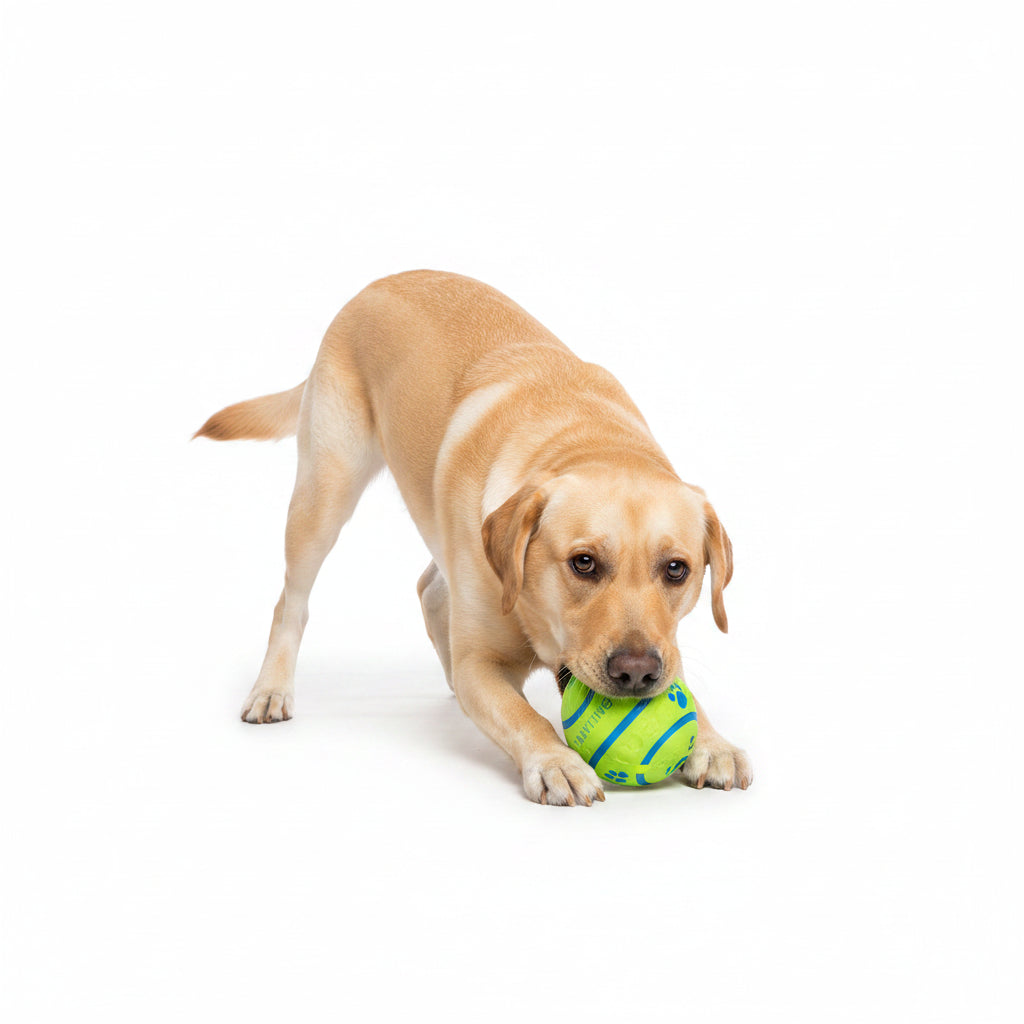 New Hot Wobble Wag Giggle Glow Ball Interactive Dog Attention Toy Fun Giggle Sounds Ball When Rolled or Shaken for Pet Dog Fun