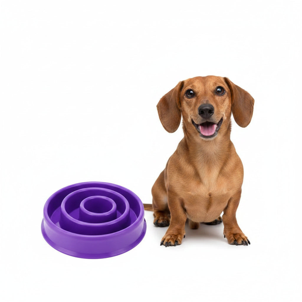 Comedero Antivoraz para Perros - Espiral Morado