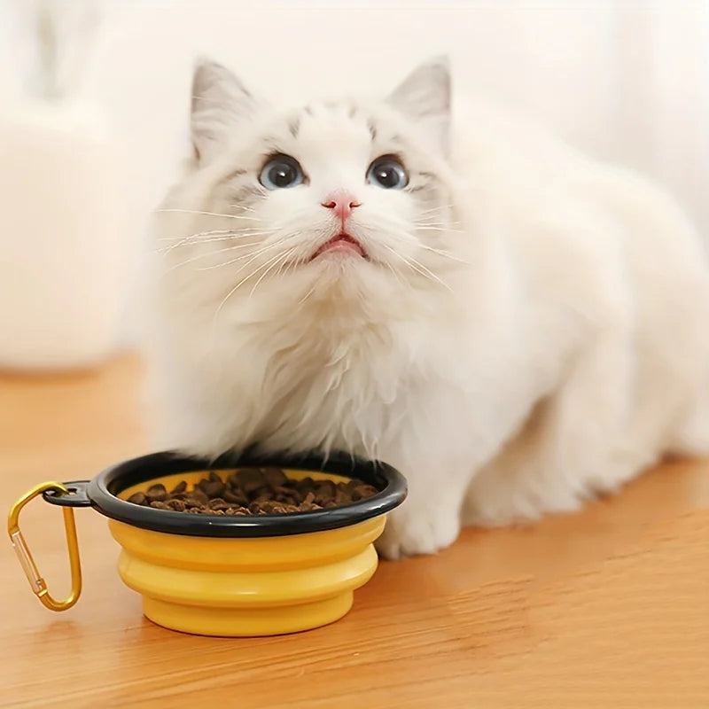 Comedero Plegable Portátil para Perros y Gatos – Práctico, Resistente y de Viaje