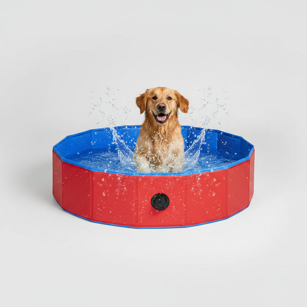 Bañera Plegable para Perros de Colores
