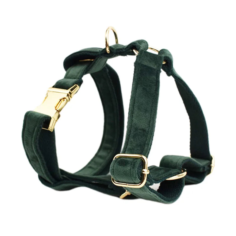 Set de Collar, Arnés y Correa de Terciopelo Personalizable