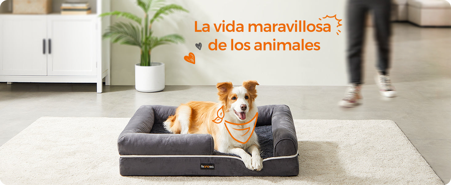 Cama Ortopédica con Bordes Elevados: El Sofá de Lujo para tu Mascota