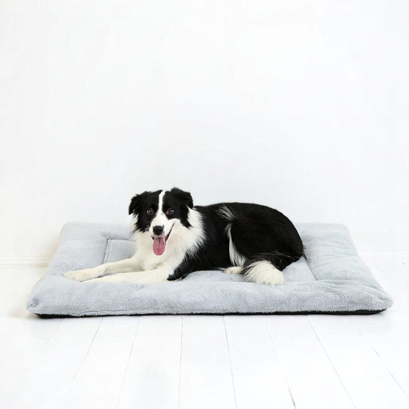 Cama de Algodón 100% para Perros – Comodidad y Suavidad Inigualables
