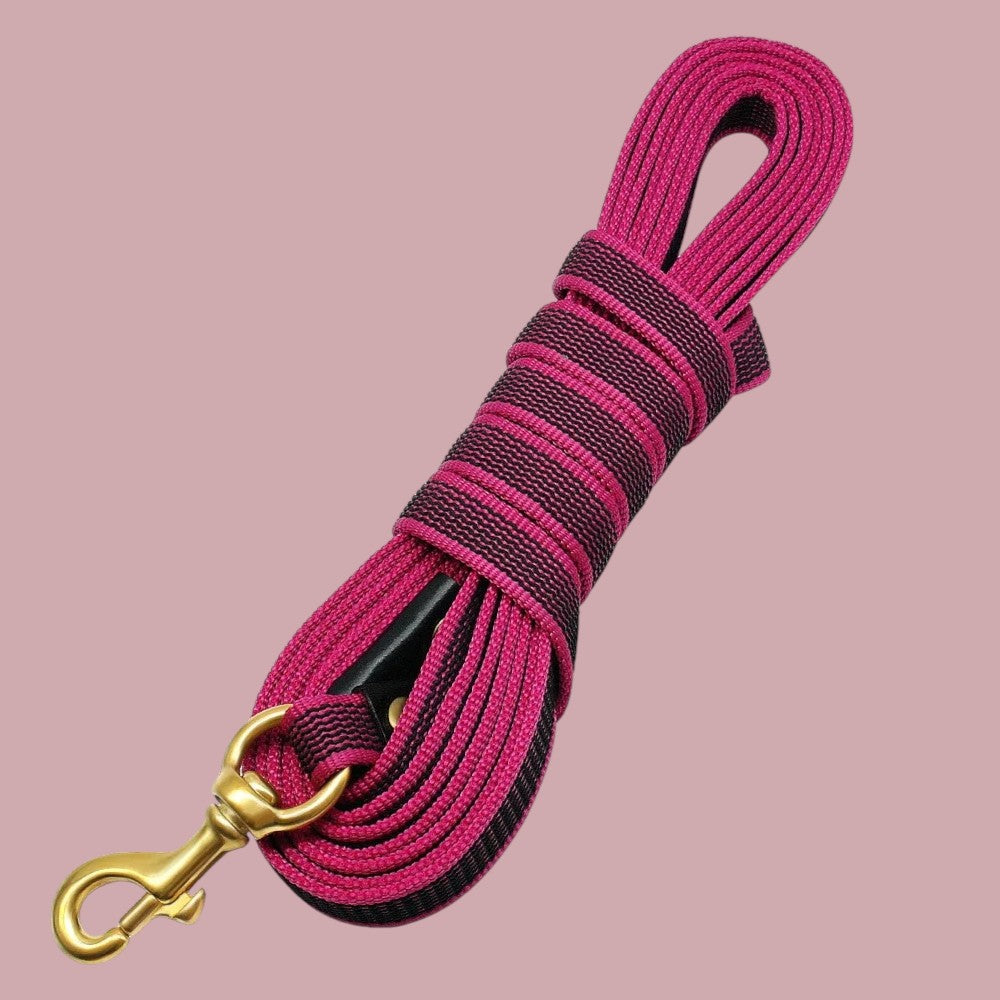 Correa para Perros de Nylon Larga Rosa Intenso