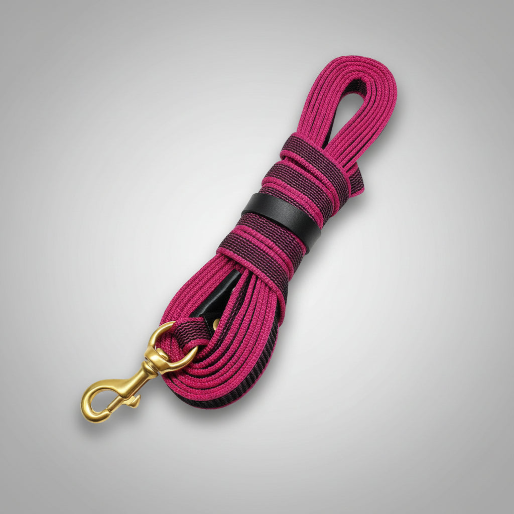 Correa para Perros de Nylon Larga Rosa Intenso