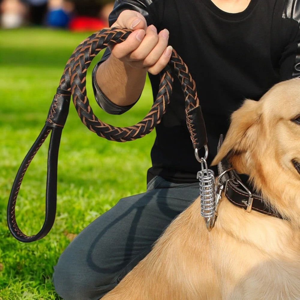 Correa de Cuero Reforzada para Perros Grandes