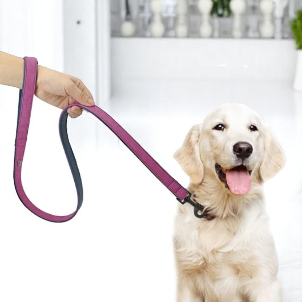 Correa de Cuero Lila para Perros Pequeños y Medianos