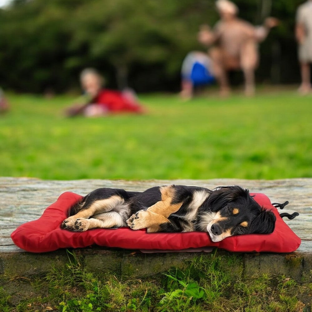 Cama Impermeable de Exteriores para Perros