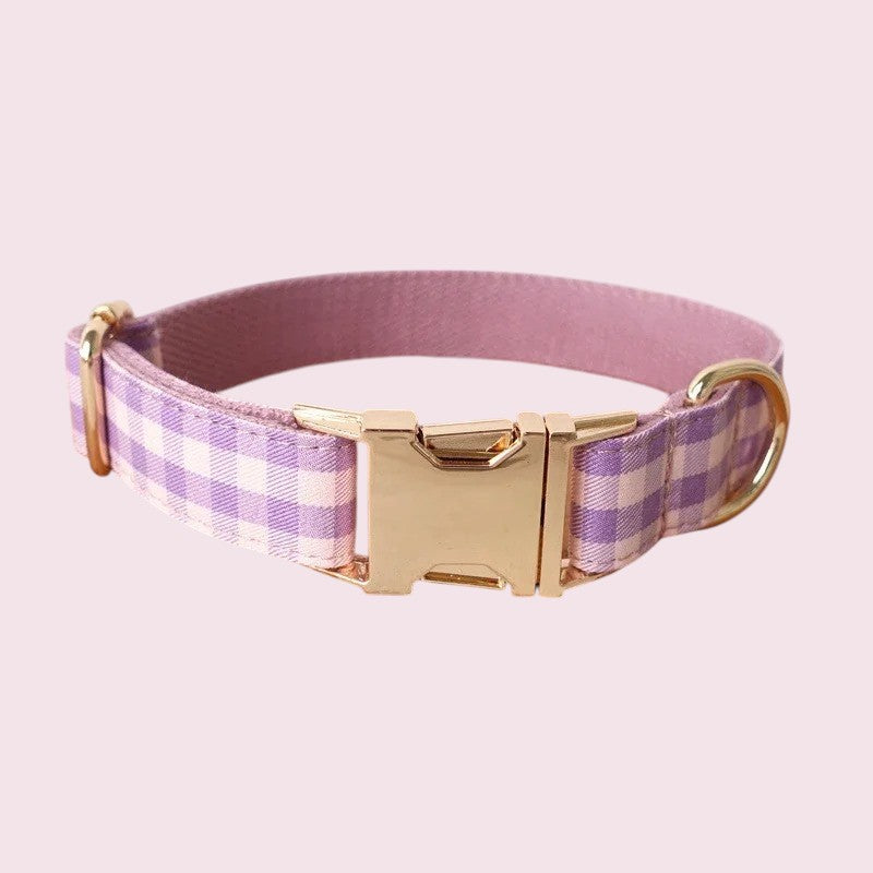 Collar de nylon antiescape para perros: seguridad y estilo en todo momento