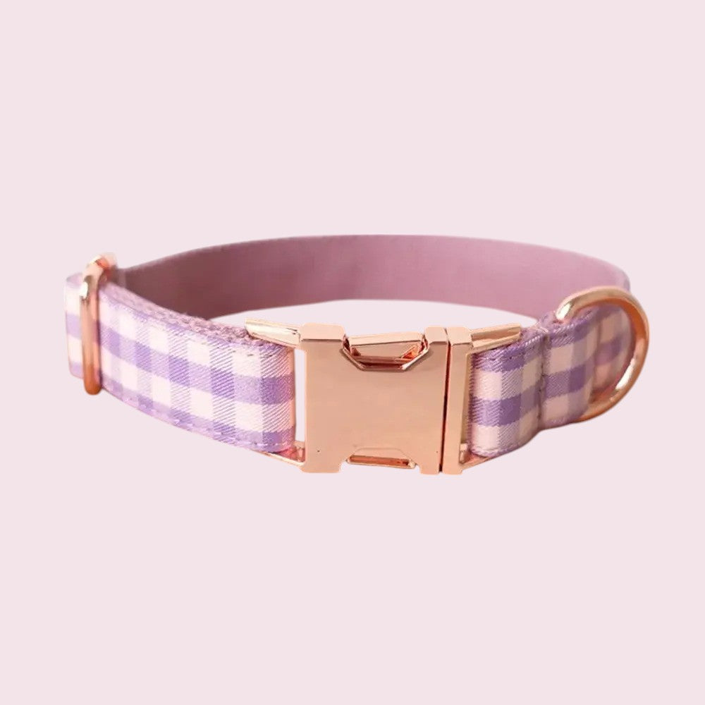 Collar de nylon antiescape para perros: seguridad y estilo en todo momento
