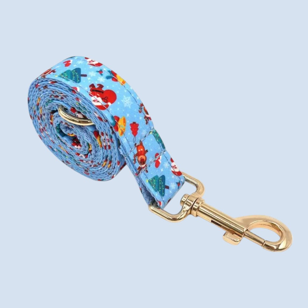 Collar y Correa de Nylon Azul para Perros – Resistencia y Estilo Diario