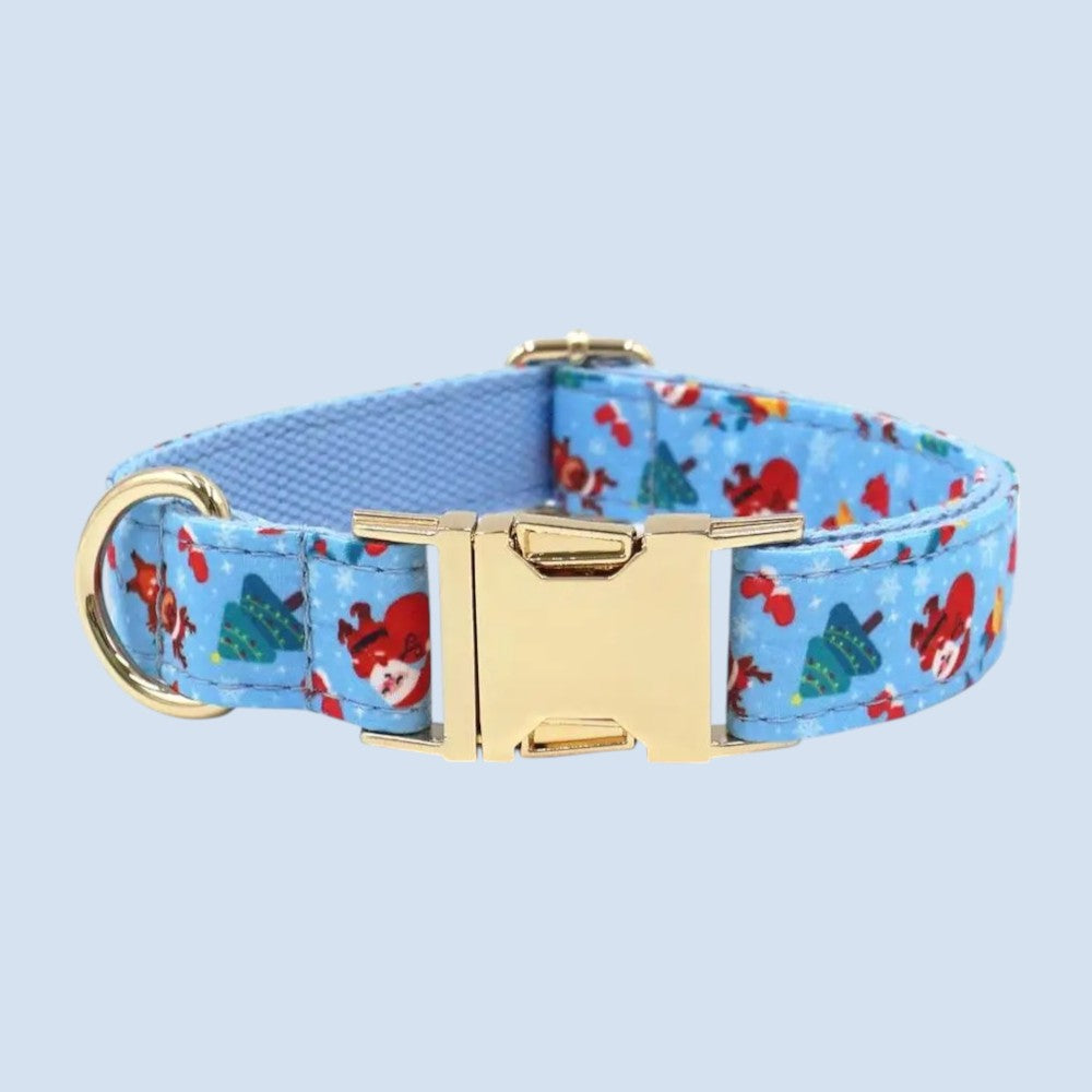 Collar y Correa de Nylon Azul para Perros – Resistencia y Estilo Diario
