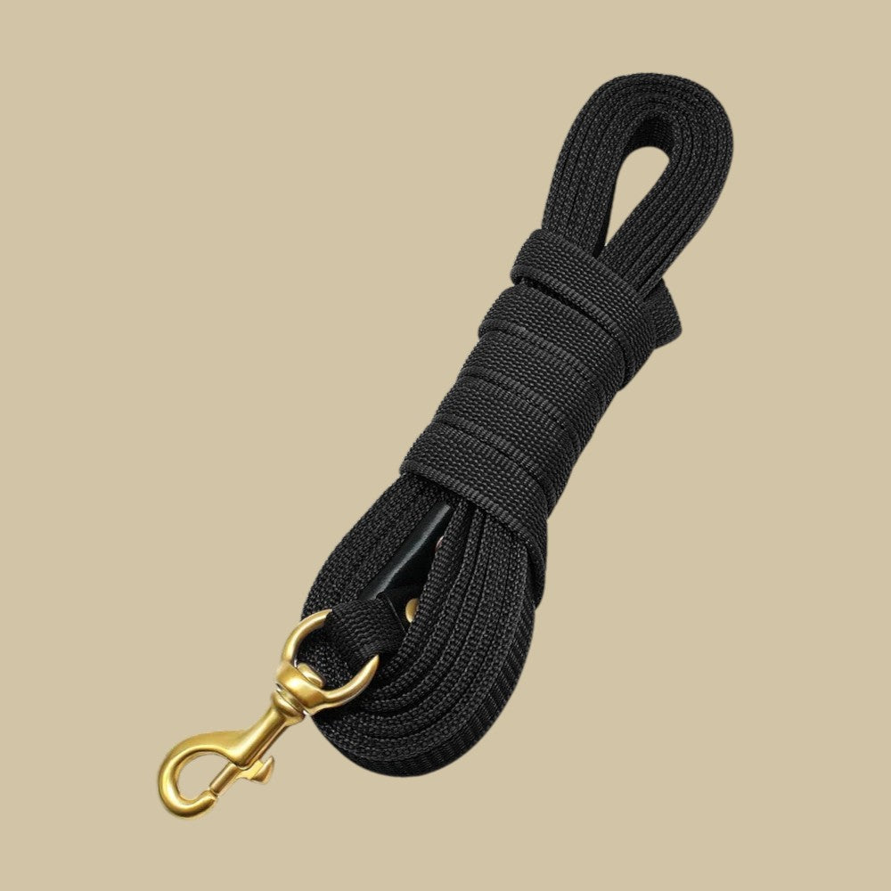 Correa para Perros de Nylon Larga Negro