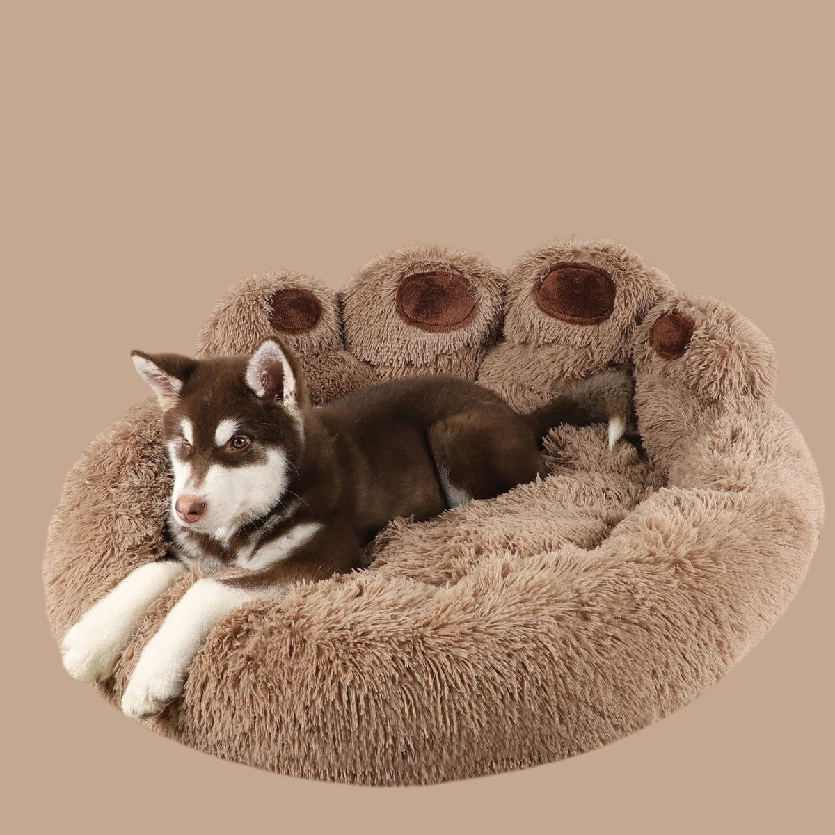 Cama de Algodón para Perros y Gatos