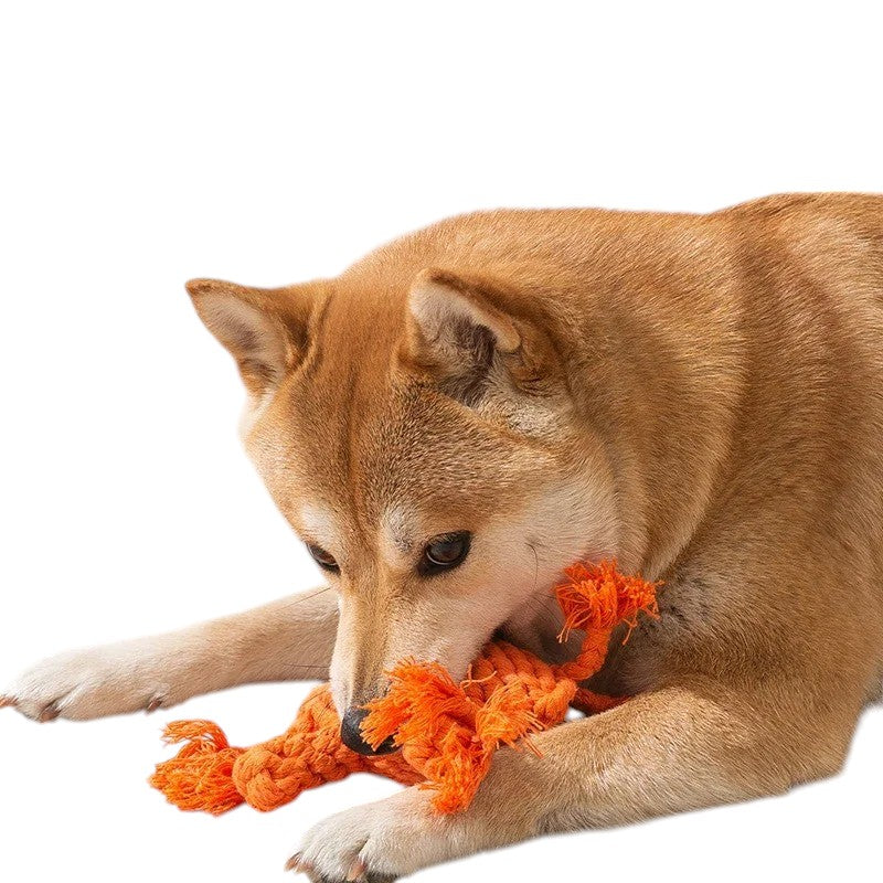 Diversión, limpieza y salud del agua : juguete de cuerda de algodón para perros y gatos