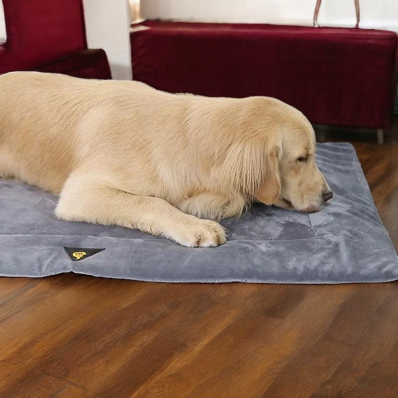 Cama Térmica para Perros