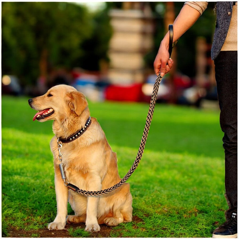 Correa de Cuero Reforzada para Perros Grandes