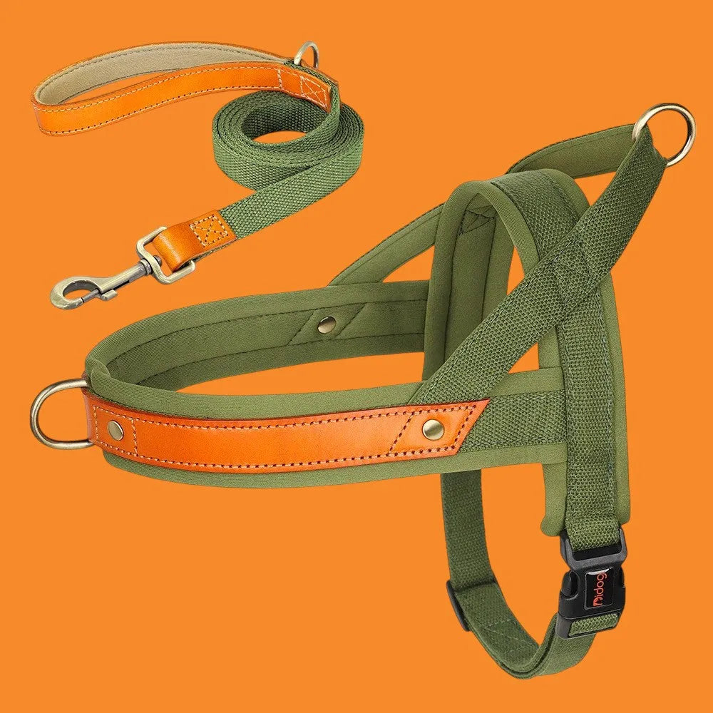 Kit Árnes y Collar para Perros