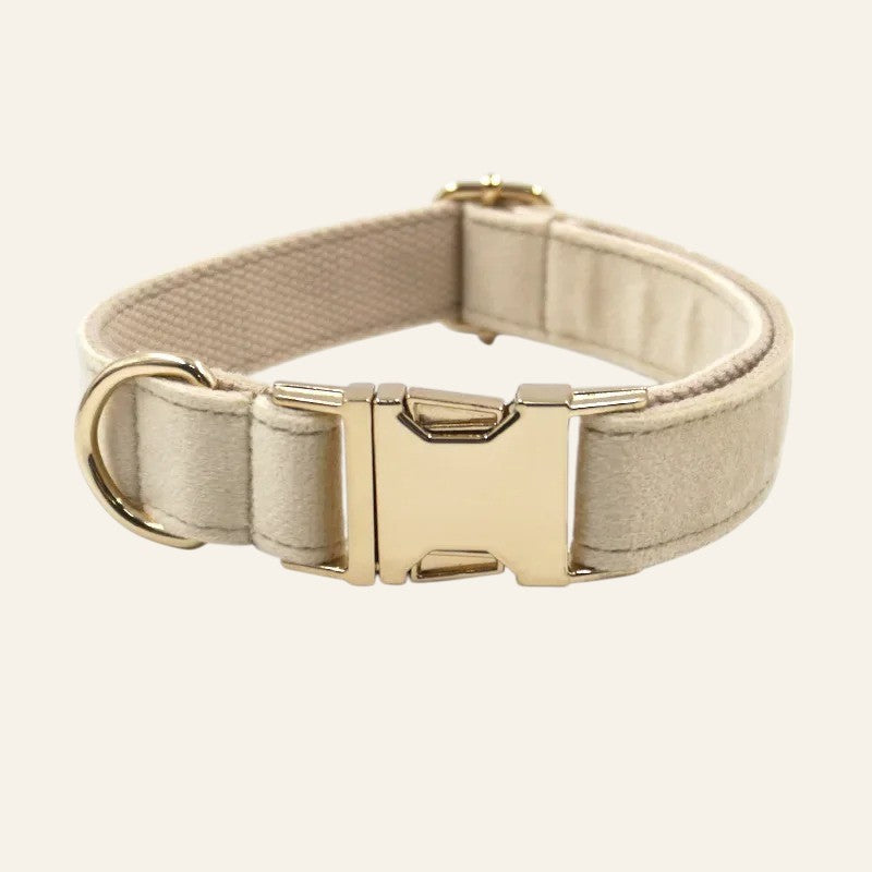 Collar de Nylon Clásico con Correa para Perros – Suave, Resistente y Estiloso