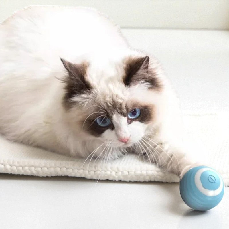 Pelota inteligente para gatos y perros – Diversión ilimitada y automática
