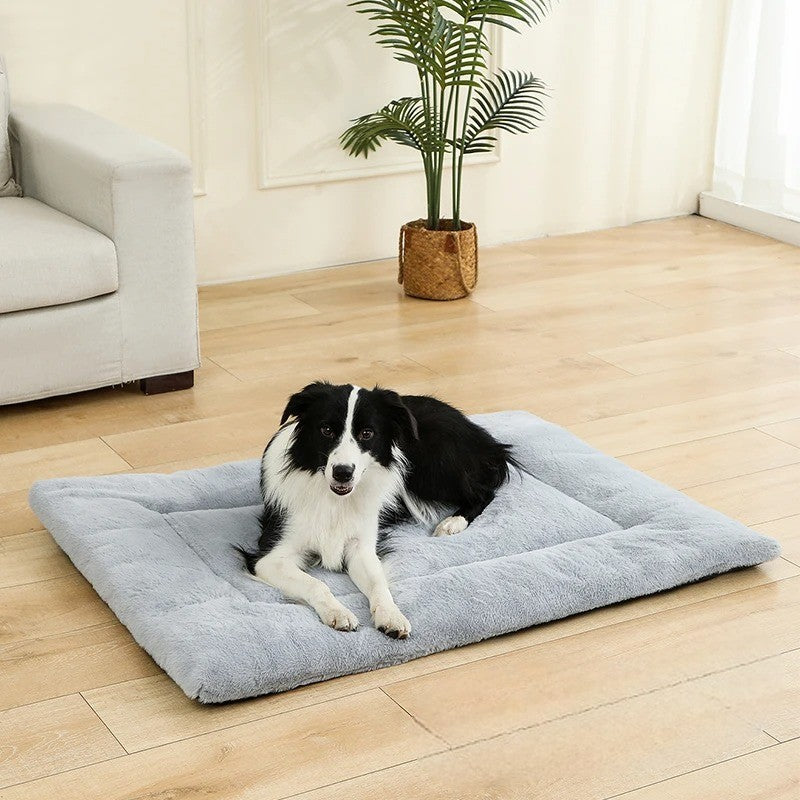 Cama de Algodón 100% para Perros – Comodidad y Suavidad Inigualables