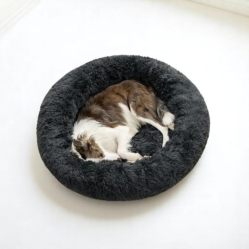 Cama de Algodón 100% para Perros – Confort y Seguridad Sin Igual