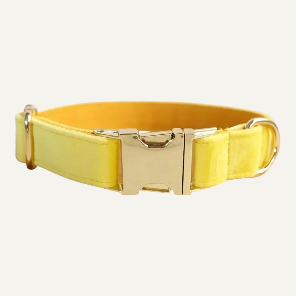 Set de Collar y Correa de Nyon para Perros Amarillo- Elegancia y Comodidad