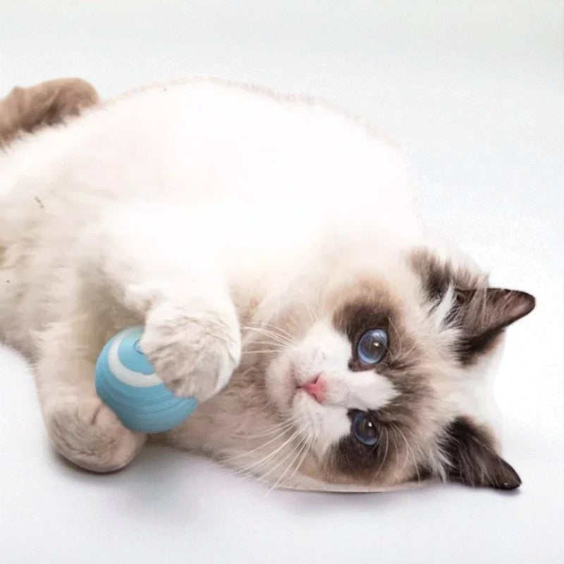 Pelota inteligente para gatos y perros – Diversión ilimitada y automática