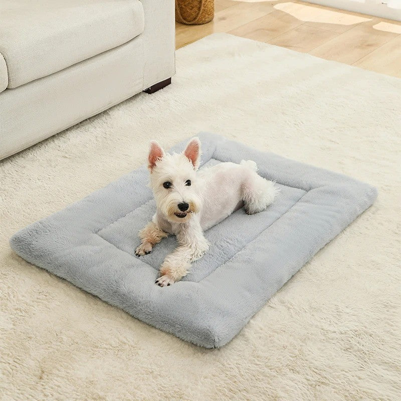 Cama de Algodón 100% para Perros – Comodidad y Suavidad Inigualables
