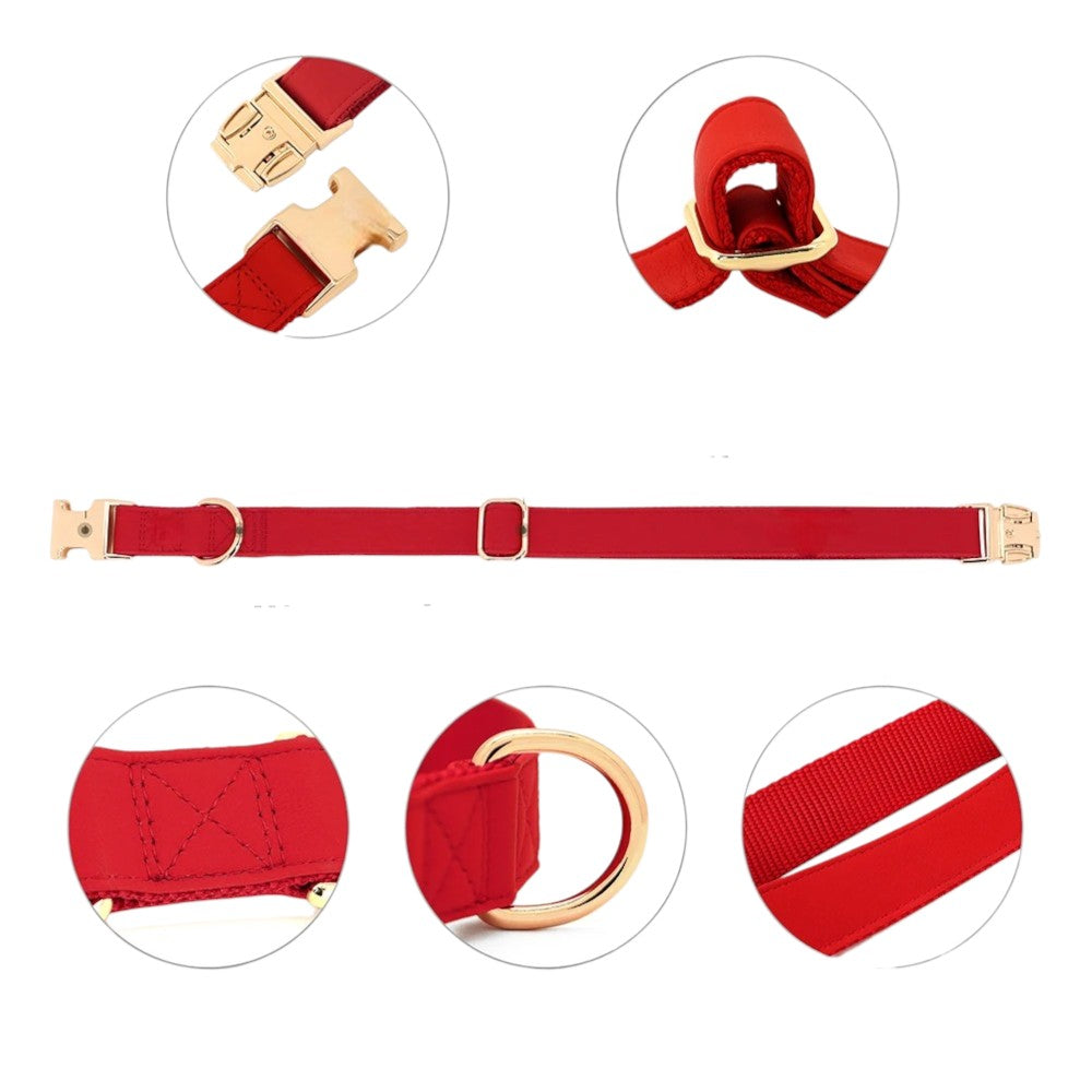 Conjunto Rojo de Árnes, Correa y Collar de Nylon y Cuero para Perros