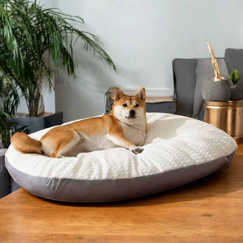 Cama Ultra Cómoda de Terciopelo para Perros