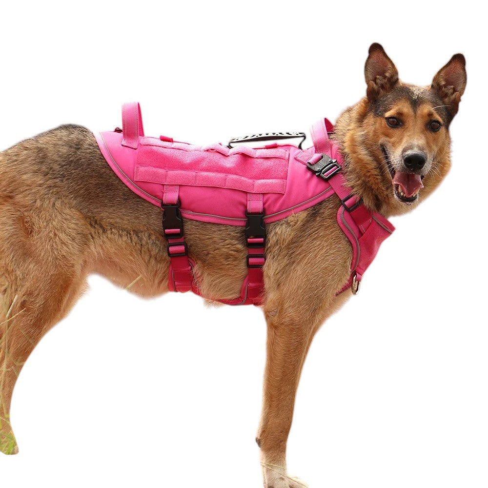 Árnes Antiescape para Perros