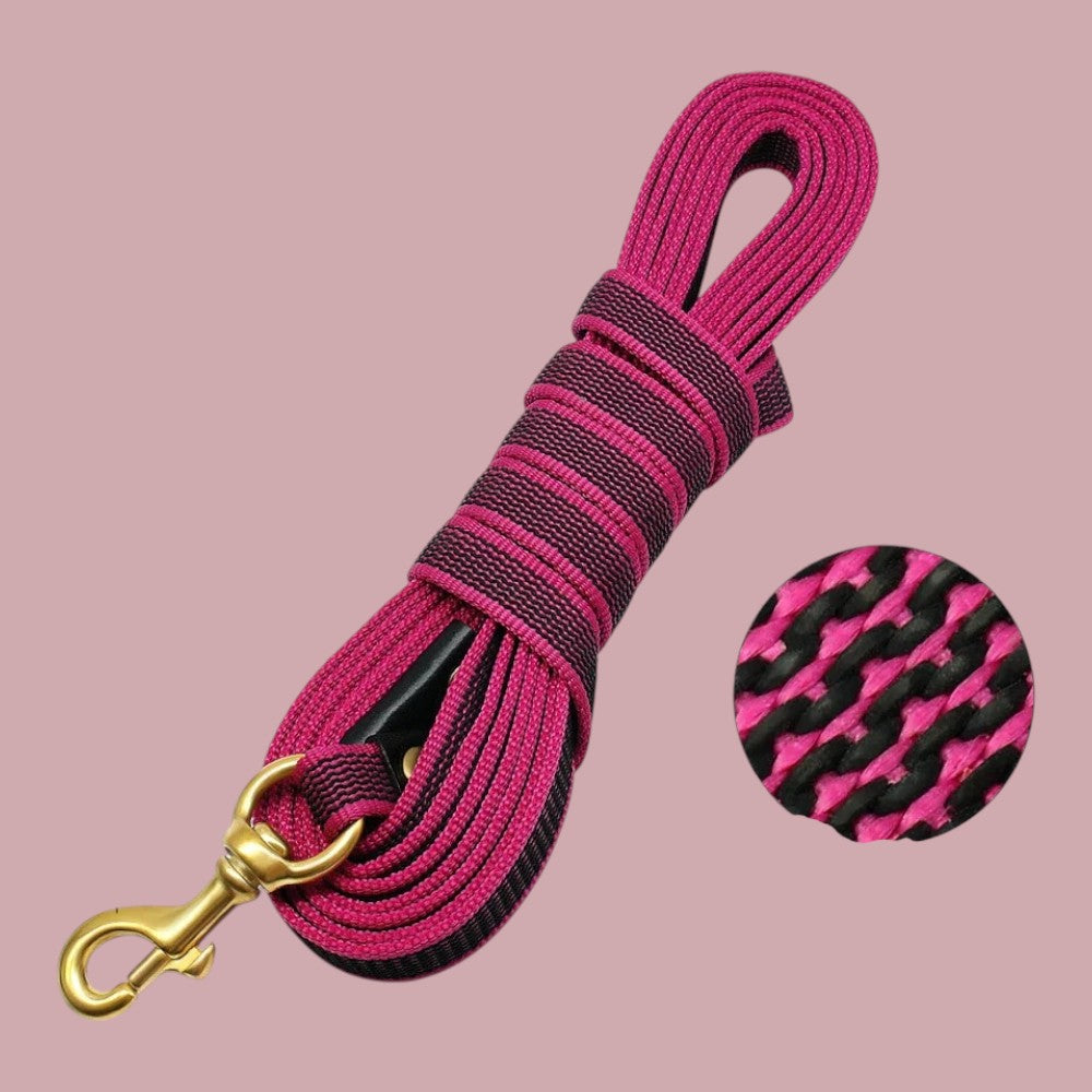 Correa para Perros de Nylon Larga Rosa Intenso
