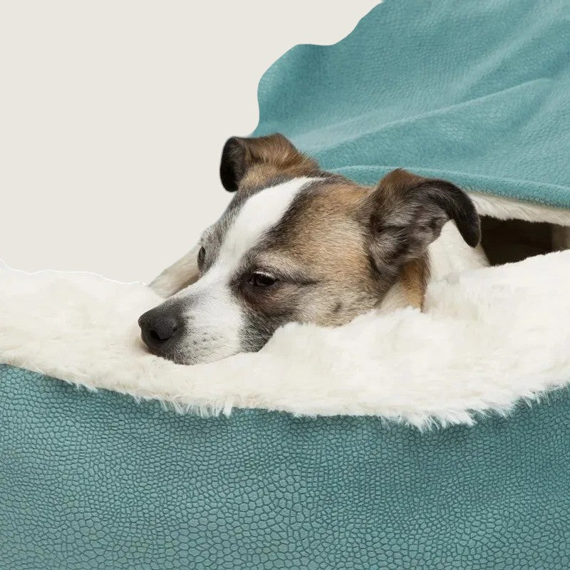 Cama Premium con Manta Incorporada para Perros y Gatos