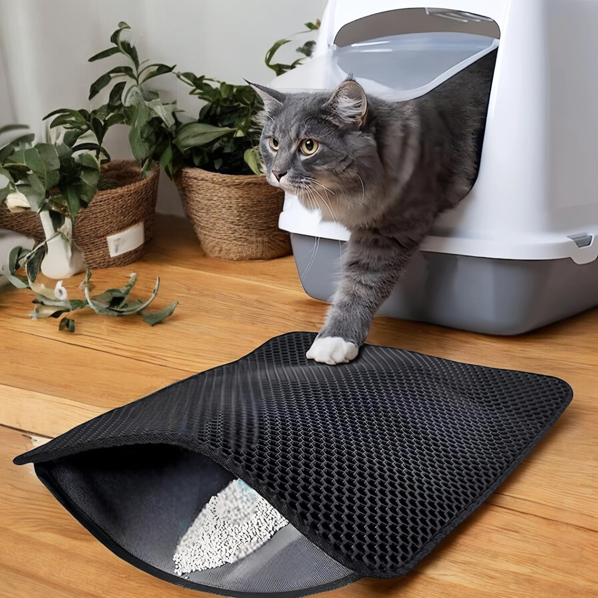 Alfombra de Arena para Gatos