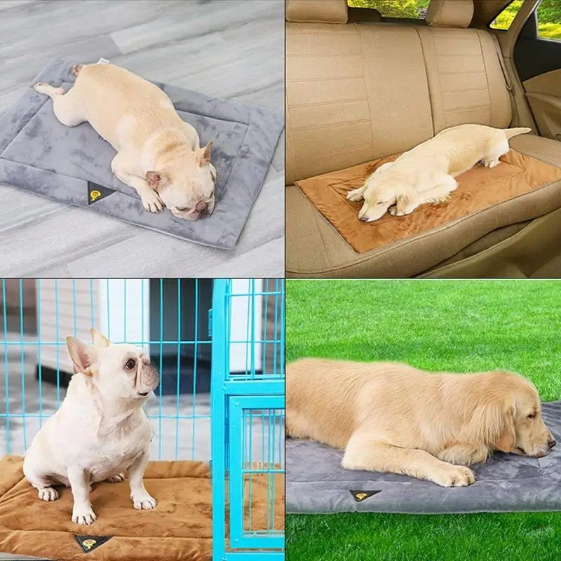 Cama Térmica para Perros